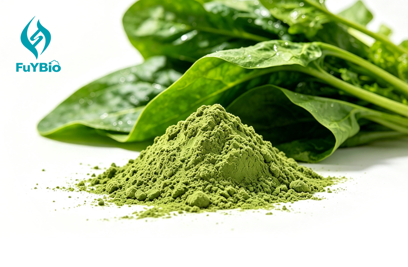 Organic Spinach Powder